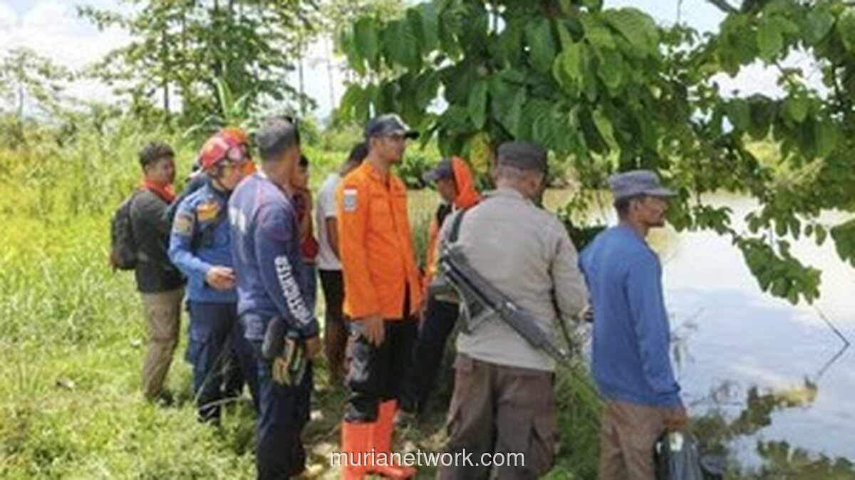 Pencarian Korban Hilang Berujung Mencekam, Dua Pria Diterkam Buaya di Empang Luwu