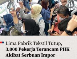 Janji Triliunan Relokasi China-Vietnam: Harapan Kosong di Tengah Gelombang PHK?