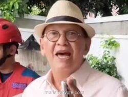 Ular Sanca Gegerkan Rumah Roy Marten, Damkar Sigap Evakuasi