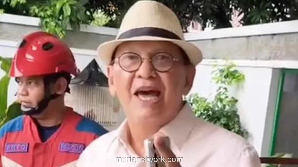 Ular Sanca Gegerkan Rumah Roy Marten, Damkar Sigap Evakuasi