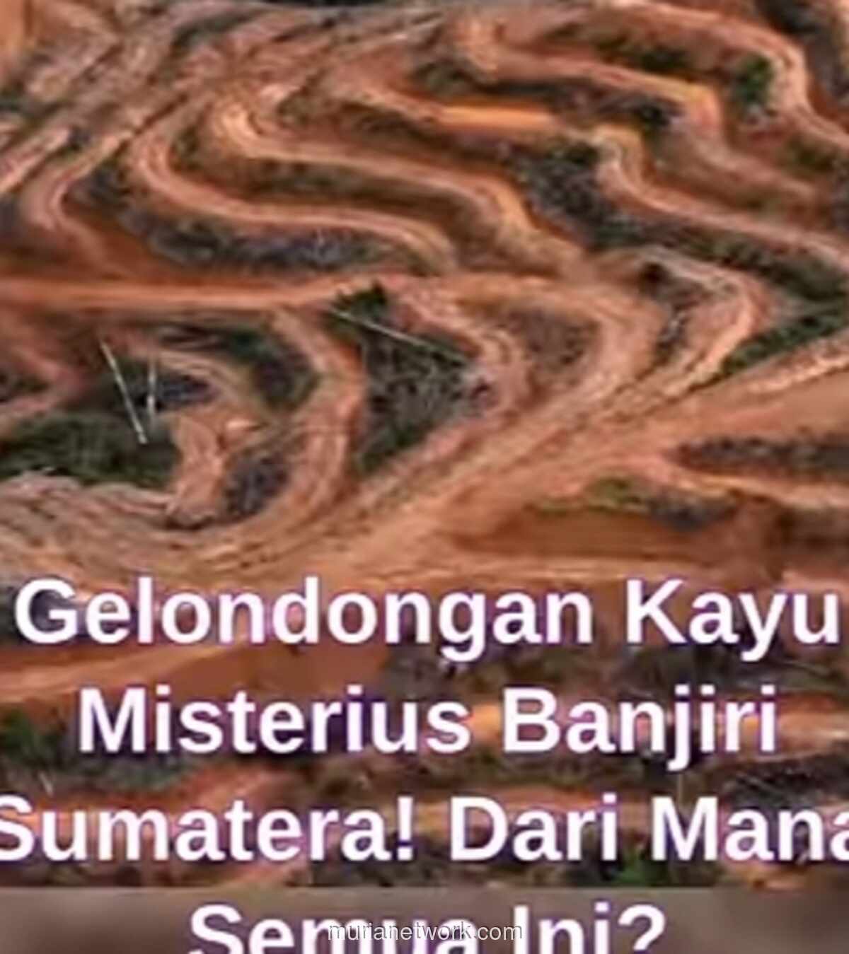 Kayu Gelondongan Bencana: Mengapa Rakyat Korban Dilarang Memungut?