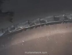 Ban Transjakarta Botak Viral, Ternyata Akibat Rem Mendadak Macet