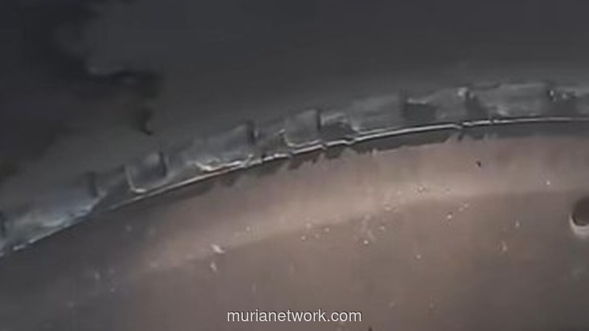 Ban Transjakarta Botak Viral, Ternyata Akibat Rem Mendadak Macet