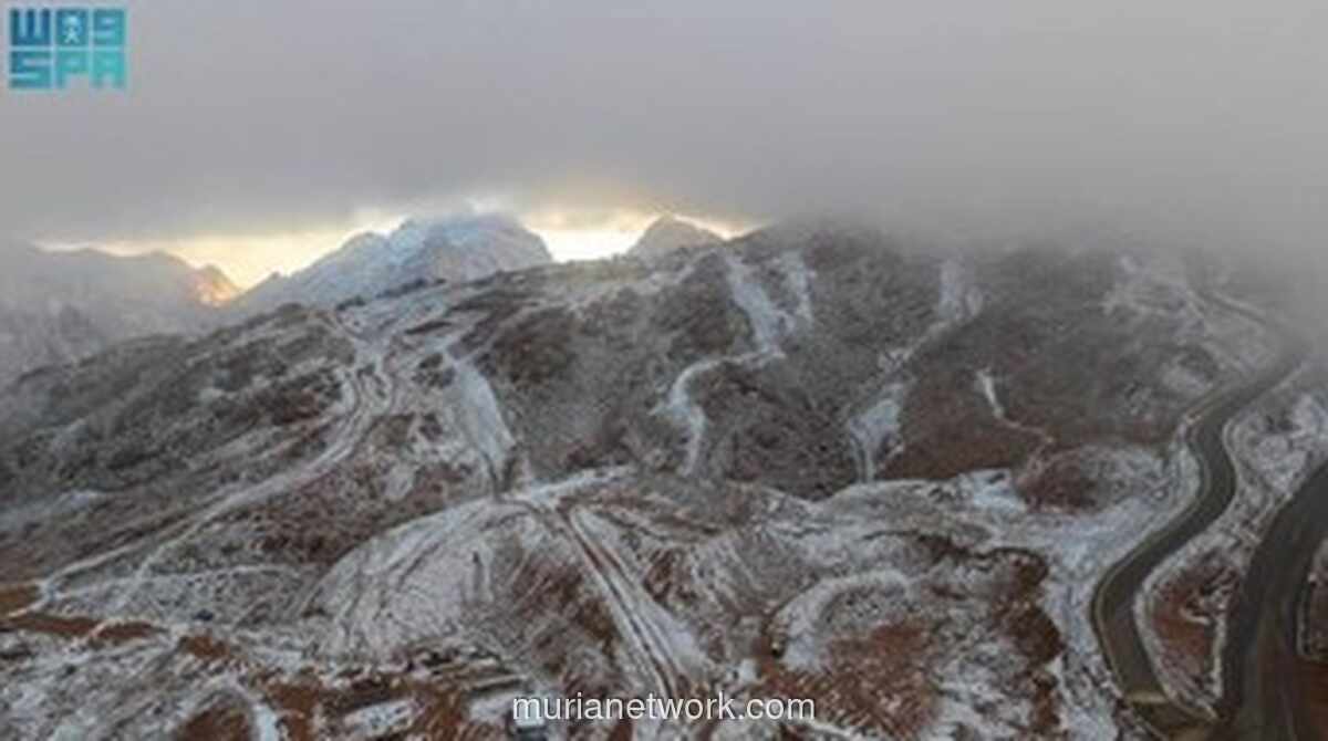 Arab Saudi Berubah Jadi Negeri Salju, Pegunungan Tabuk Diselimuti Putih