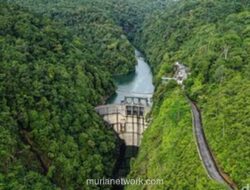 Korupsi Menggerogoti Transisi Energi, Target Net Zero Terancam