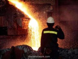 Pendapatan Merdeka Copper Gold Anjlok, Tapi Laba Justru Melonjak