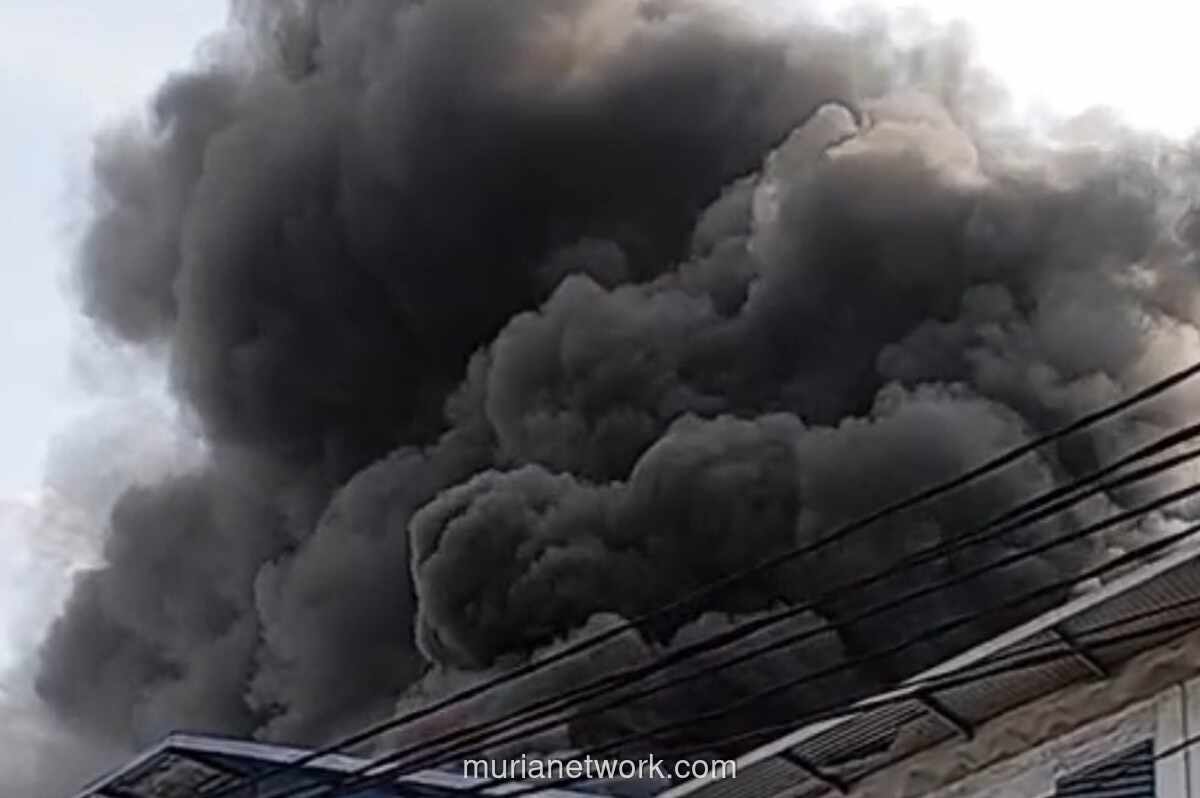 Gudang di Kalideres Ludes Dihanguskan Si Jago Merah