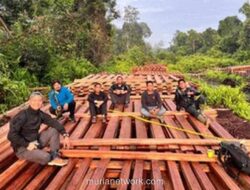 Helikopter Wakapolda Riau Ungkap Tumpukan Kayu Ilegal di Hutan Indragiri