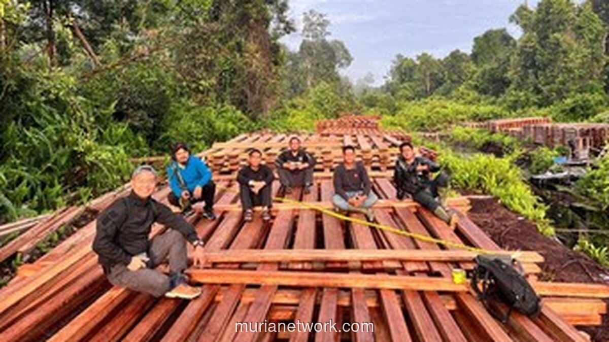 Helikopter Wakapolda Riau Ungkap Tumpukan Kayu Ilegal di Hutan Indragiri