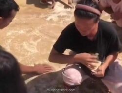 Bupati Tapanuli Utara Minta Maaf, Bantuan Beras Dijatuhkan dari Helikopter Berakhir Pecah