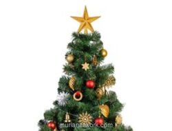 Natal dan Pilihan Hidup: Antara Mengejar Milik atau Menjadi Berkat