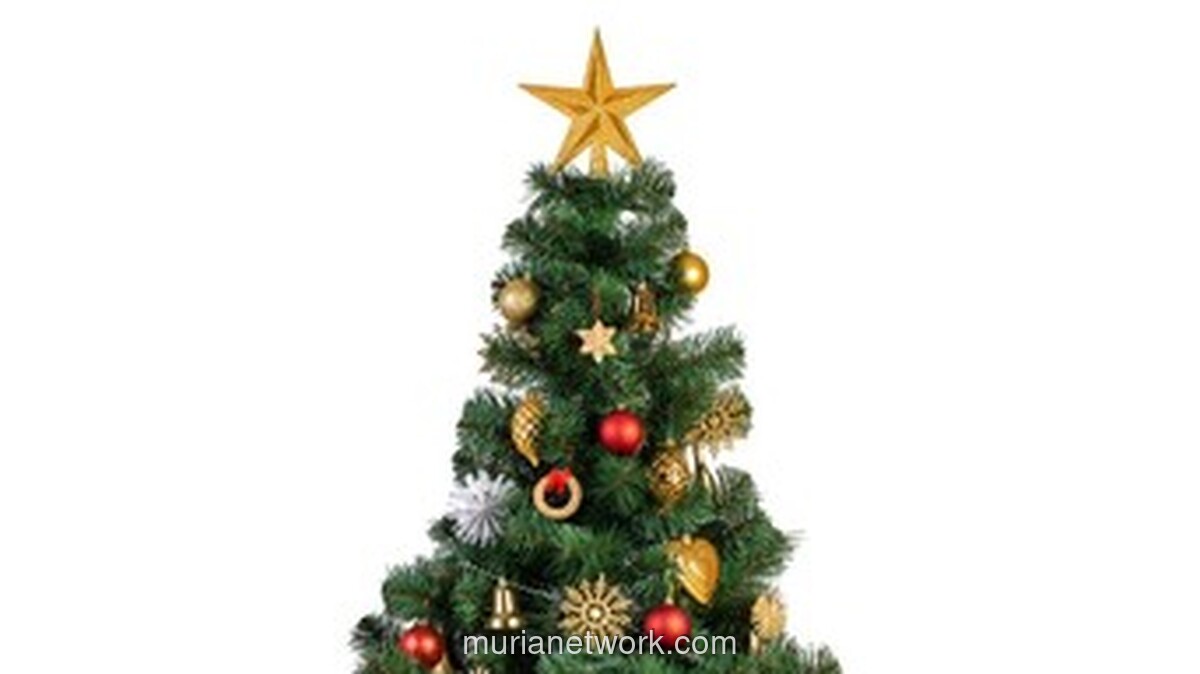 Natal dan Seni Berbagi: Dari Memiliki Menuju Menjadi