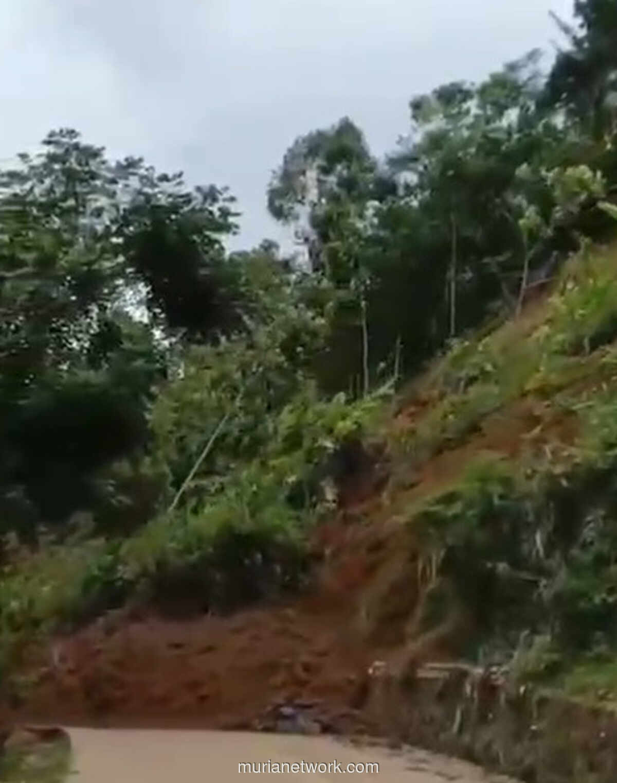 Tebing Ambrol di Lebak, Aktivitas Galian Pasar Diduga Jadi Pemicu