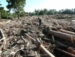 Gubernur Aceh Berduka: Empat Kampung Lenyap, Banjir Bandang Disebut Lebih Dahsyat dari Tsunami