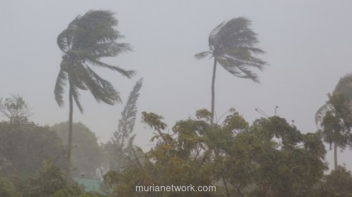 BMKG Peringatkan Ancaman Bibit Siklon Tropis di Musim Hujan 2025/2026