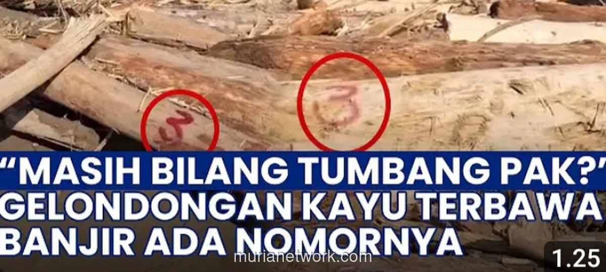 Di Balik Reruntuhan, Bayang-Bayang Negara yang Absen