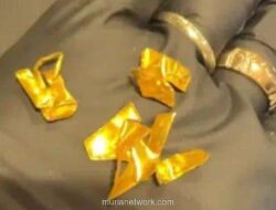 Warga Korea Berburu AC Lawas LG, Logo Emasnya Ternyata Bernilai Jutaan Rupiah