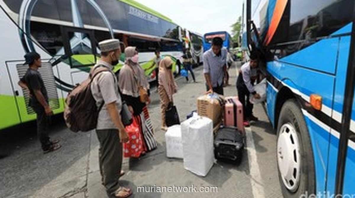 Buruan Daftar! Kuota Mudik Gratis Bus Natal dan Tahun Baru Segera Habis