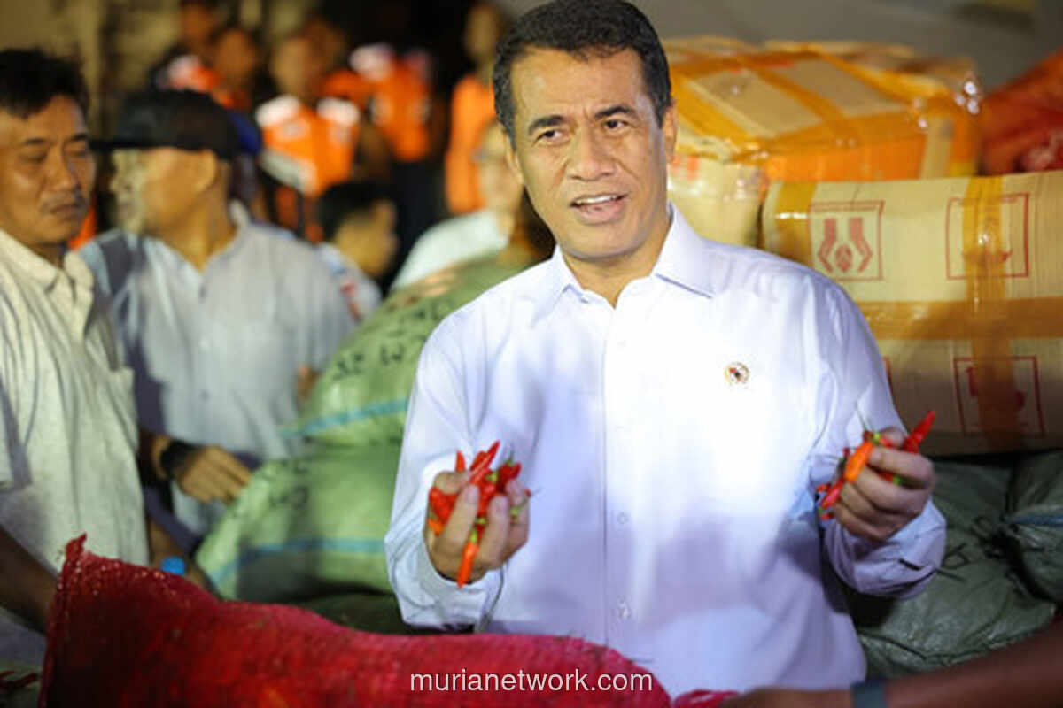 Hercules Angkut 15 Ton Cabai Aceh, Amran: Jangan Rugikan Petani!