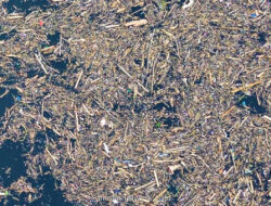 Gelondongan Kayu di Tengah Banjir Bandang Sumatera Jadi Sorotan Polisi