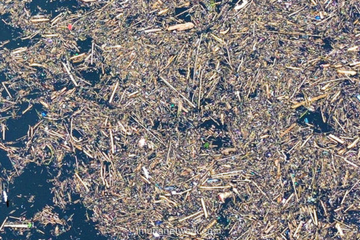 Gelondongan Kayu di Tengah Banjir Bandang Sumatera Jadi Sorotan Polisi