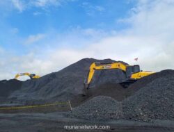 Pemerintah Batalkan Target Produksi Nikel dan Batu Bara, Harga Jadi Taruhan