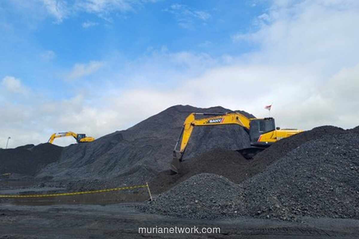 Pemerintah Batalkan Target Produksi Nikel dan Batu Bara, Harga Jadi Taruhan