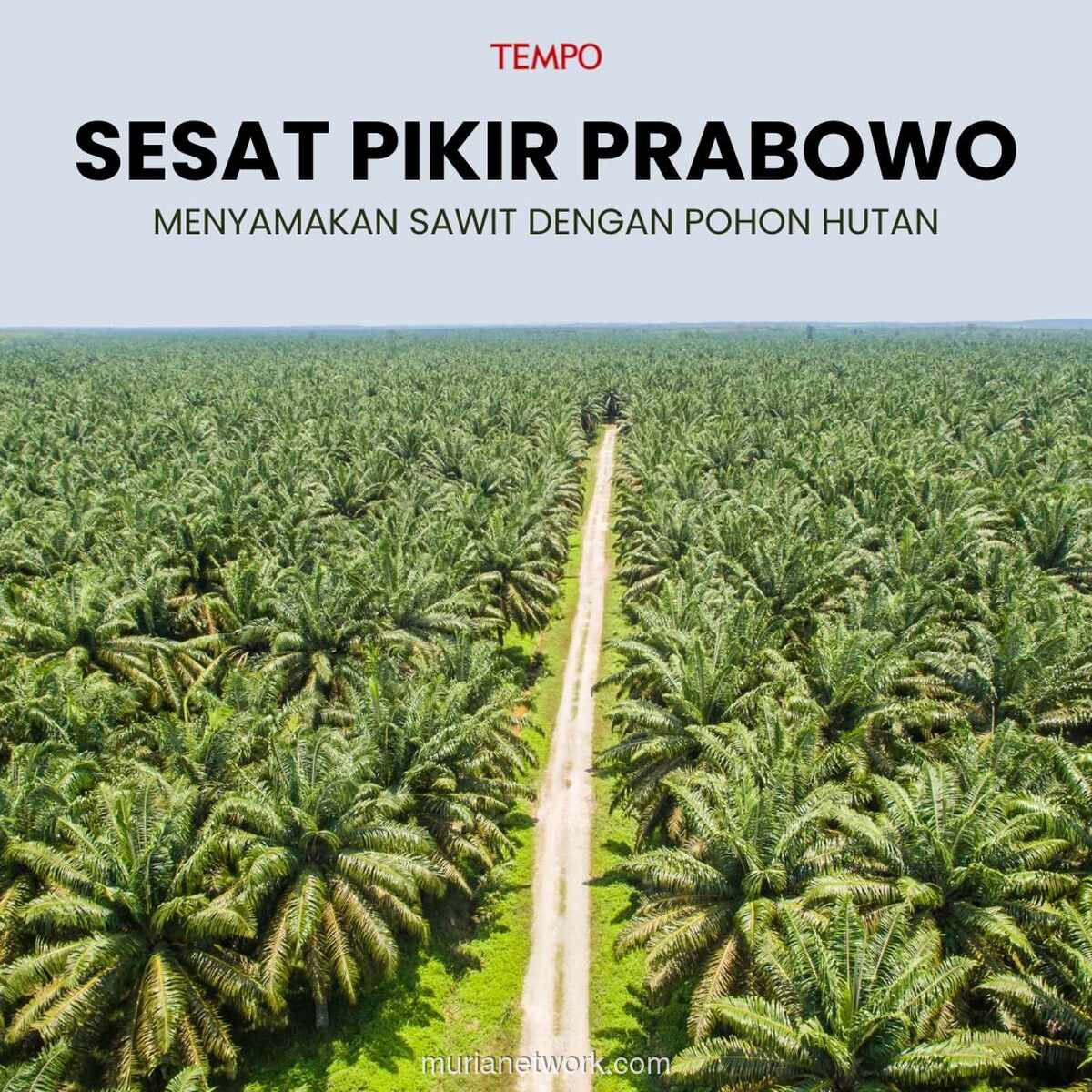 Prabowo dan Sawit: Mengapa Ratusan Pohon Tak Sama dengan Hutan
