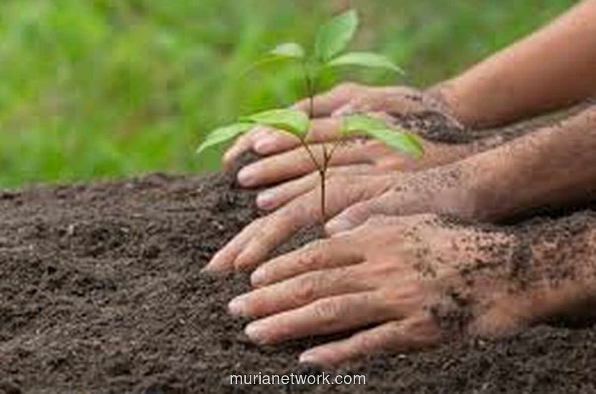 Ekoteologi: Saat Agama Menjawab Banjir yang Tak Kunjung Usai