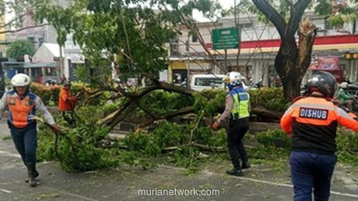 Pohon Tumbang Timpa Mobil di Margonda, Lalu Lintas Sempat Lumpuh
