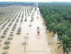 Garam di Langit Sumatera: Upaya Darurat Atasi Cuaca Usai Banjir Bandang