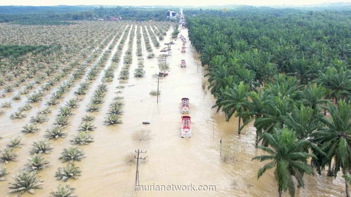 Garam di Langit Sumatera: Upaya Darurat Atasi Cuaca Usai Banjir Bandang
