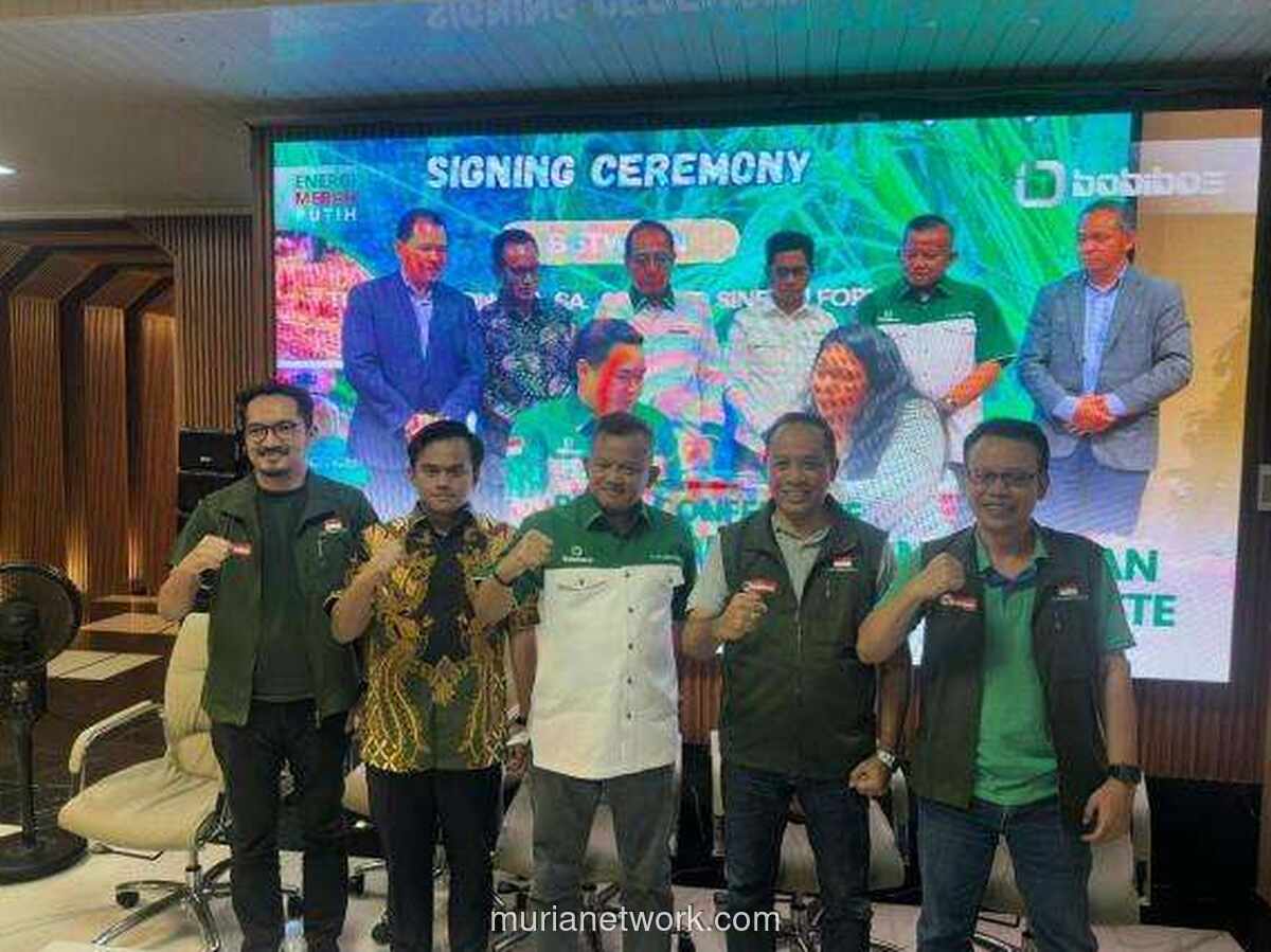 Bobibos Ekspansi ke Timor Leste, Dapat Lahan 25.000 Hektare untuk Bahan Bakar Jerami