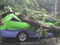 Bogor Diguncang 917 Bencana dalam 11 Bulan