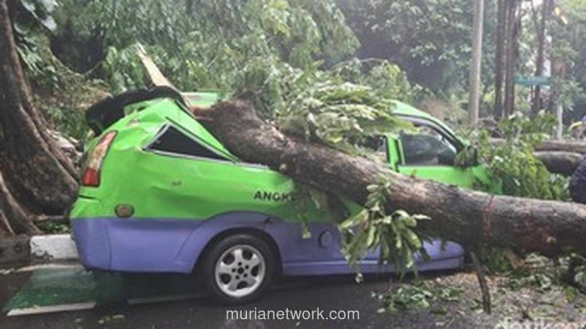 Bogor Diguncang 917 Bencana dalam 11 Bulan