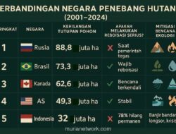 Ketika Hutan Lenyap, yang Tumbuh Hanyalah Alasan