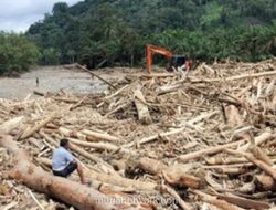 Gelondongan Kayu Berenang di Banjir Bandang, Kemenhut Soroti Dugaan Penebangan di Lahan APL