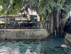 Umbul Kapilaler: Kejernihan yang Menipu dan Kedamaian yang Nyata di Klaten