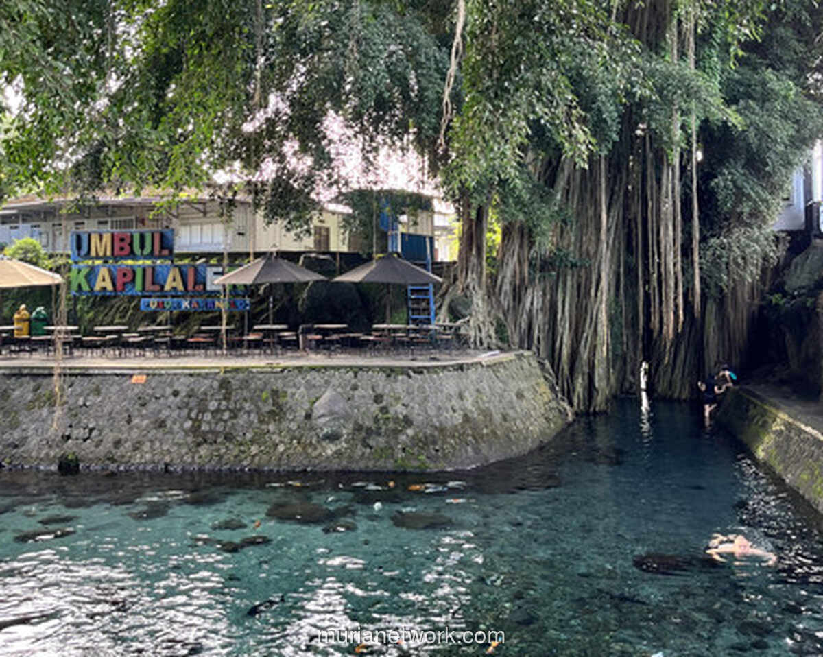 Umbul Kapilaler: Kejernihan yang Menipu dan Kedamaian yang Nyata di Klaten