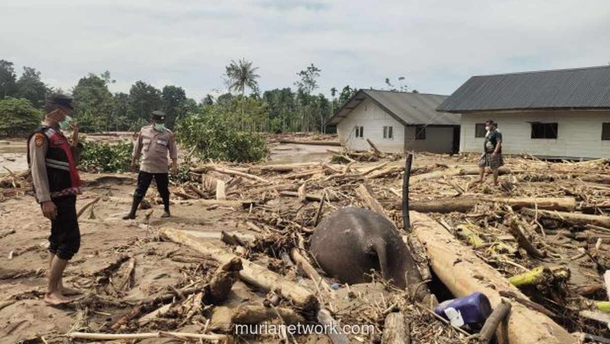 Korban Tewas Banjir dan Longsor Sumatra Tembus 316 Jiwa, Pencarian Korban Terus Digenjot