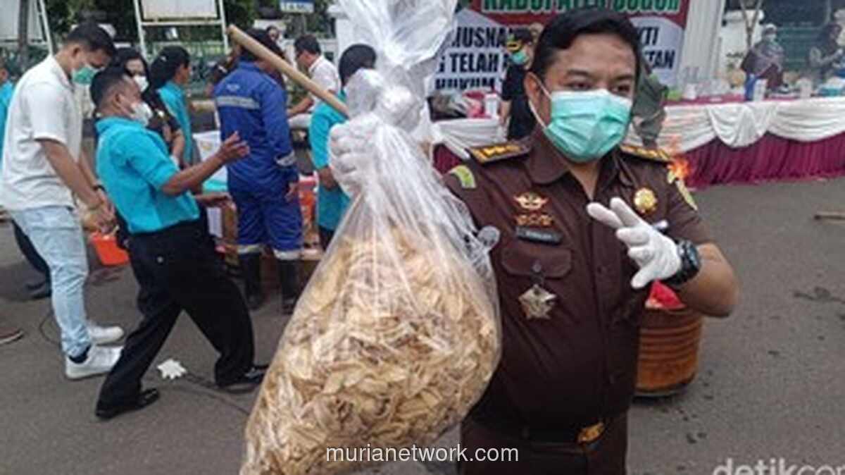 Keripik Pisang Spesial Berbahan Narkoba Dimusnahkan Kejari Bogor