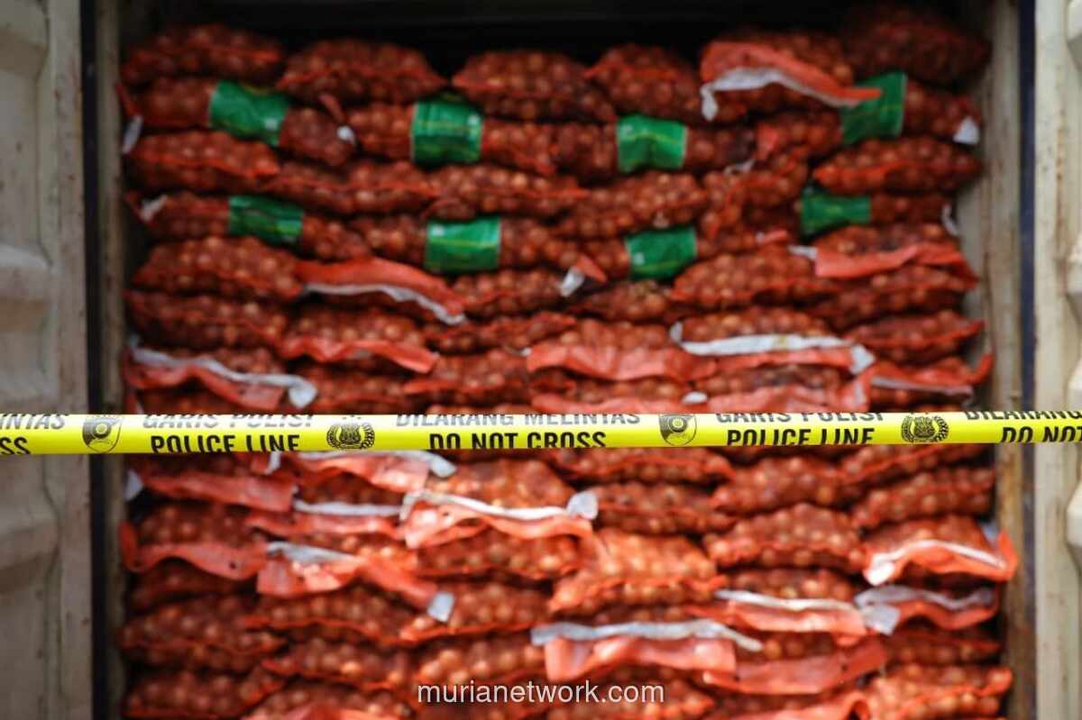 Bawang Belanda Ilegal di Surabaya Bawa Hama yang Ancam Lahan Pertanian