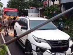 Angin Kencang dan Pohon Tumbang Hantam Mobil di Jalan Gunungsari Surabaya