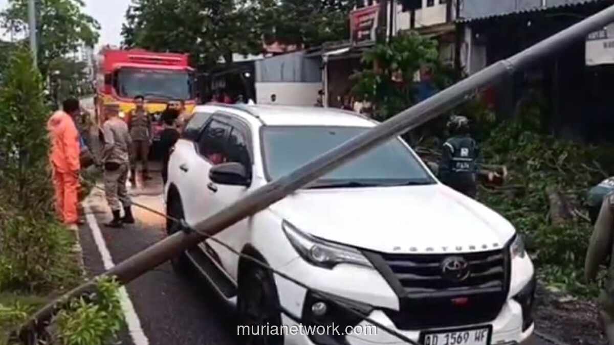 Angin Kencang dan Pohon Tumbang Hantam Mobil di Jalan Gunungsari Surabaya