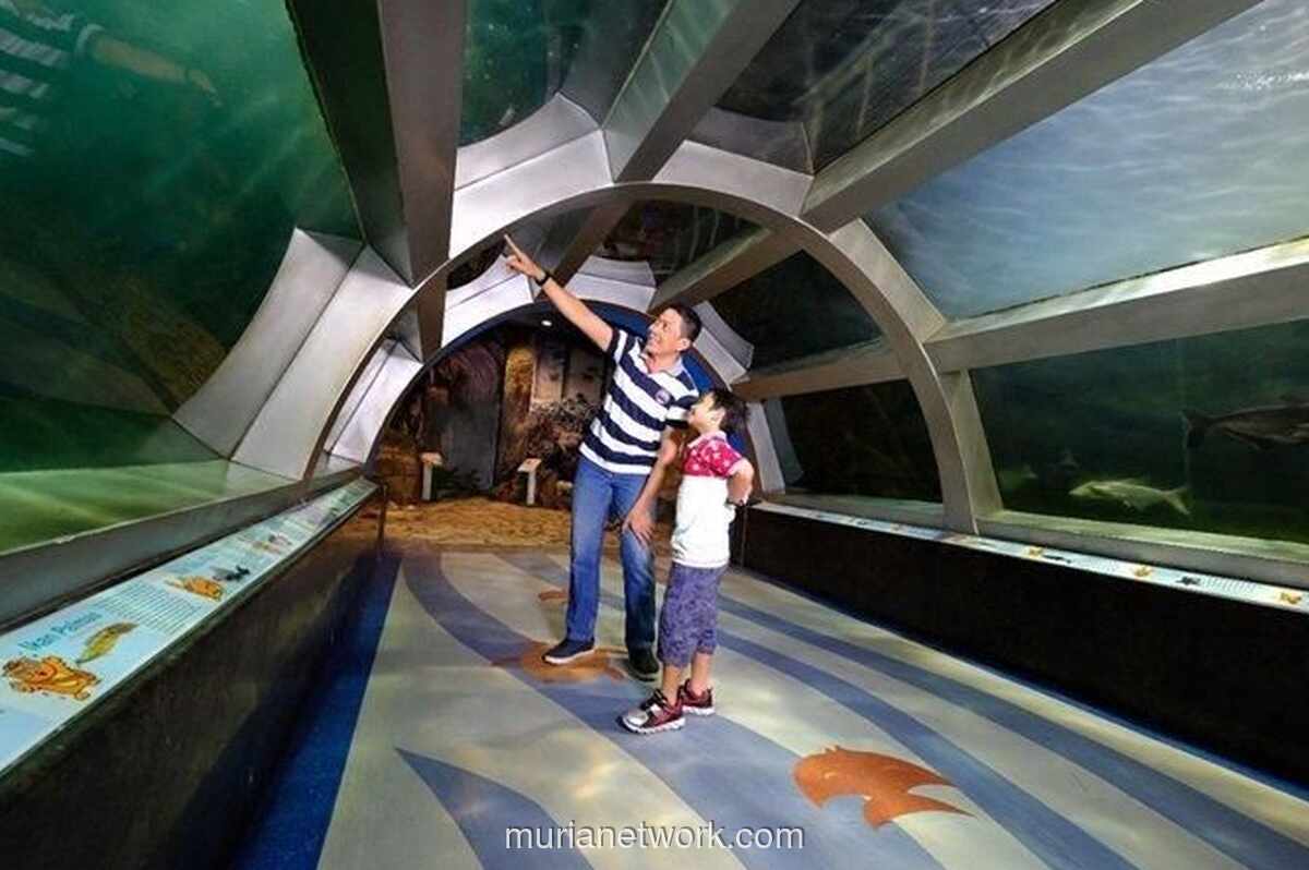 Akhir Tahun di Jogja: Liburan Seru untuk Anak dengan Aman dan Edukatif