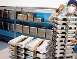 Program Makan Bergizi Tetap Jalan Meski Sekolah Libur