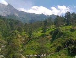 Hilang di Lereng Merapi, Pencarian Aldo Diperluas ke Sektor Timur