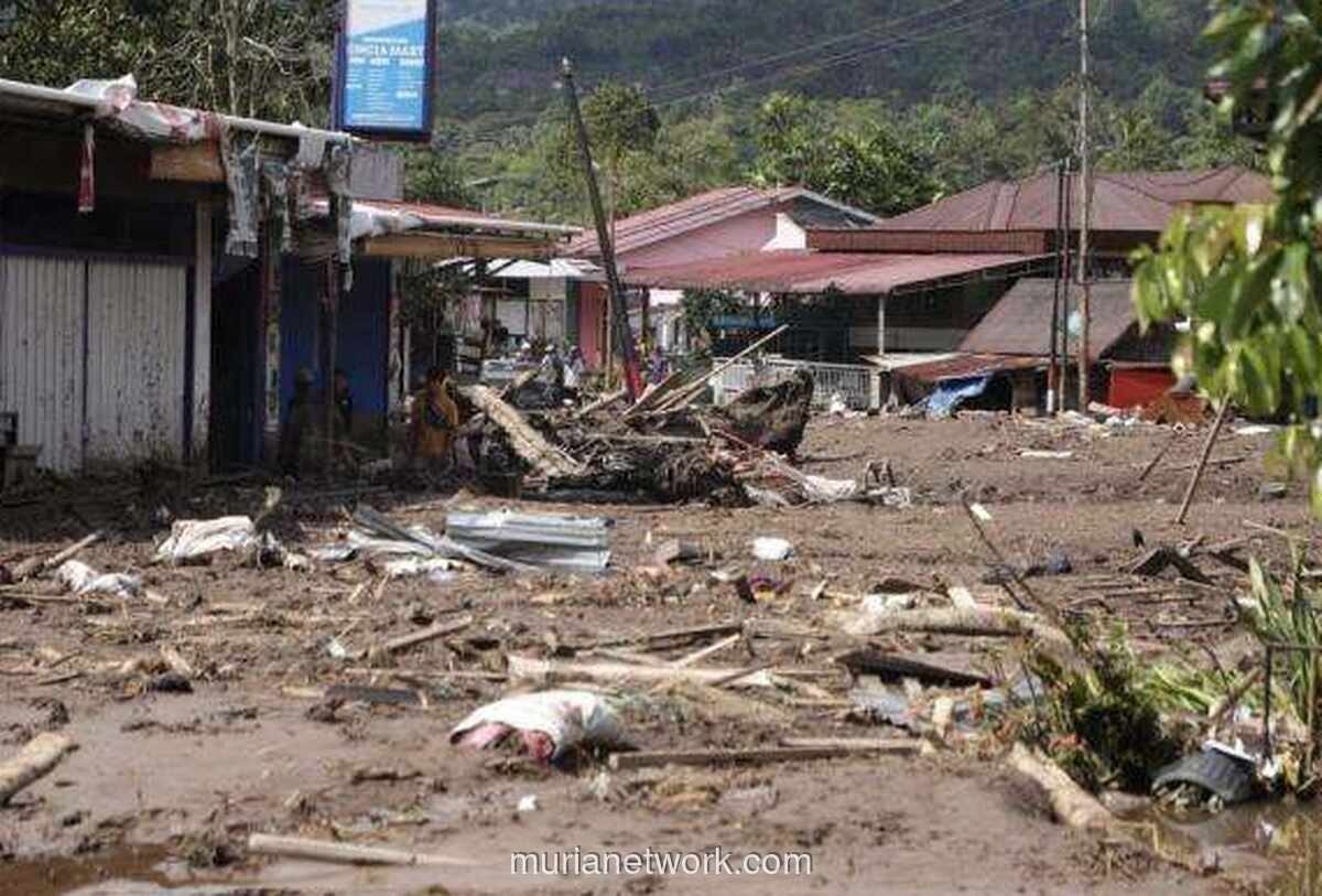 Korban Tewas Bencana Sumatera Tembus 442 Jiwa, Ratusan Masih Hilang