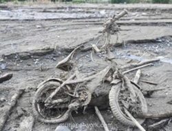 Deforestasi dan Air Mata Sumatra: Saat Negara Gagal Membangun Kapal Nuh