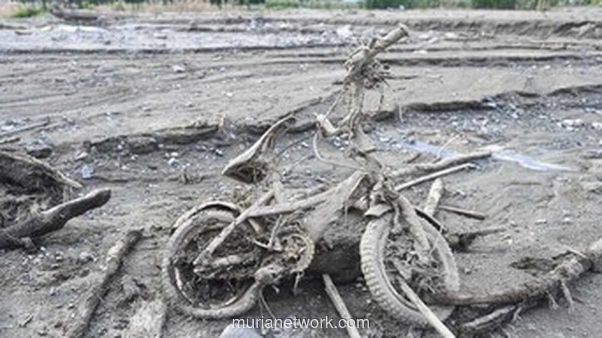 Deforestasi dan Air Mata Sumatra: Saat Negara Gagal Membangun Kapal Nuh